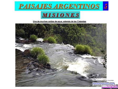 PAISAJES ARGENTINOS 5 M I S I O N E S Una de muchas caídas de agua, además de las Cataratas.
