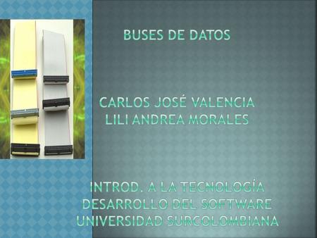 Buses de datos Carlos José valencia Lili Andrea morales introd