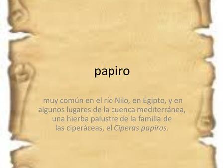 Papiro  muy común en el río Nilo, en Egipto, y en algunos lugares de la cuenca mediterránea, una hierba palustre de la familia de las ciperáceas, el Ciperas.