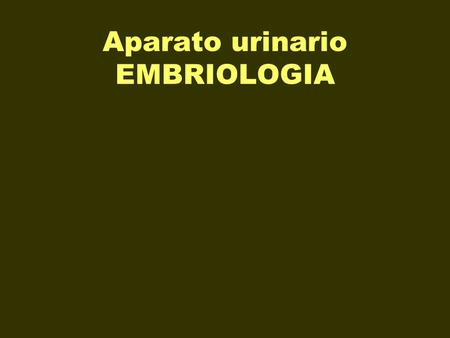 Aparato urinario EMBRIOLOGIA