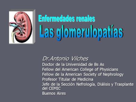 Enfermedades renales Las glomerulopatías Dr.Antonio Vilches