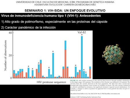 UNIVERSIDAD DE CHILE, FACULTAD DE MEDICINA, ICBM, PROGRAMA DE GENETICA HUMANA ASIGNATURA “EVOLUCION” CARRERA DE MEDICINA II AÑO SEMINARIO 1: VIH-SIDA: