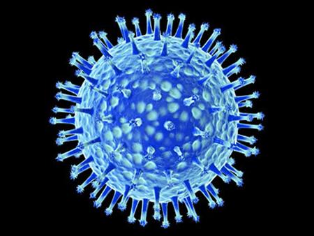 GRIPE A H1N1 ¿Qué debo hacer para prevenir la Gripe? GRIPE A H1N1.