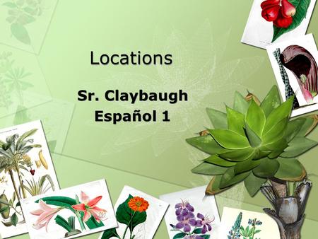 Locations Sr. Claybaugh Español 1 Sr. Claybaugh Español 1.
