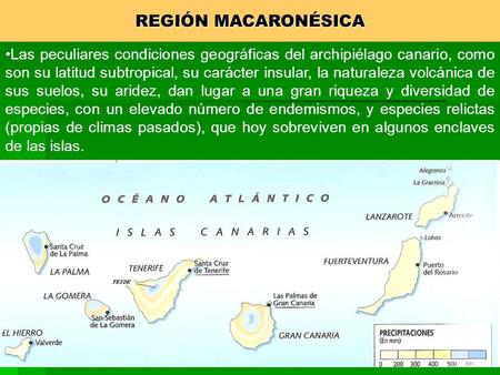 REGIÓN MACARONÉSICA Las peculiares condiciones geográficas del archipiélago canario, como son su latitud subtropical, su carácter insular, la naturaleza.