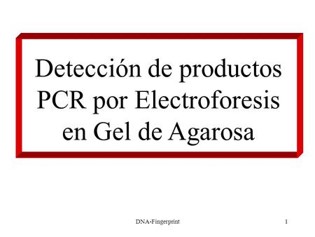 Detección de productos PCR por Electroforesis en Gel de Agarosa