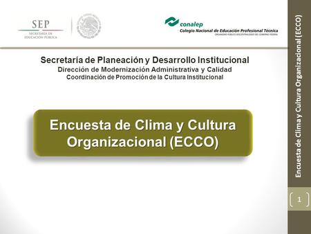 Encuesta de Clima y Cultura Organizacional (ECCO)