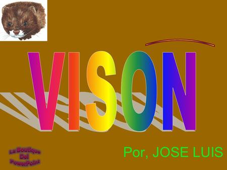 ____________ VISON Por, JOSE LUIS.