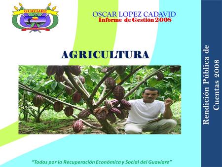 AGRICULTURA Informe de Gestión 2008 OSCAR LOPEZ CADAVID “Todos por la Recuperación Económica y Social del Guaviare” Rendición Pública de Cuentas 2008.