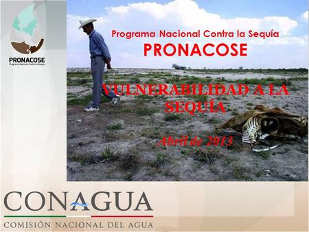 Programa Nacional Contra la Sequía PRONACOSE VULNERABILIDAD A LA SEQUÍA Abril de 2013.
