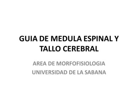 GUIA DE MEDULA ESPINAL Y TALLO CEREBRAL