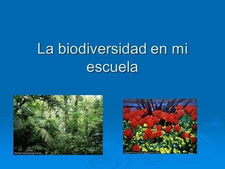 La biodiversidad en mi escuela