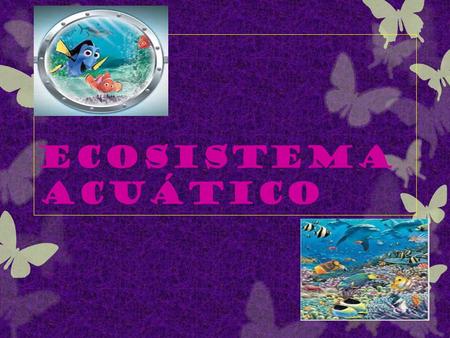 Ecosistema acuático.