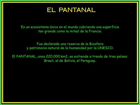 EL PANTANAL Es un ecosistema único en el mundo cubriendo una superficie tan grande como la mitad de la Francia. Fue declarada una reserva de la Biosfera.