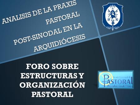 ANALISIS DE LA PRAXIS PASTORAL POST-SINODAL EN LA ARQUIDIÓCESIS FORO SOBRE ESTRUCTURAS Y ORGANIZACIÓN PASTORAL.