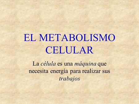 Anabolico catabolico y metabolico