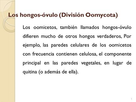 Los hongos-óvulo (División Oomycota)