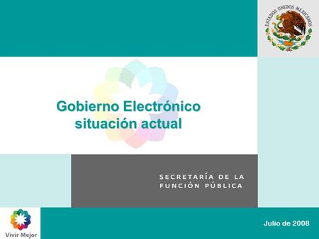 Gobierno Electrónico situación actual Julio de 2008.