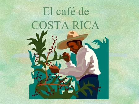 El café de COSTA RICA.