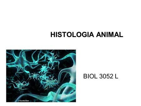 HISTOLOGIA ANIMAL BIOL 3052 L.