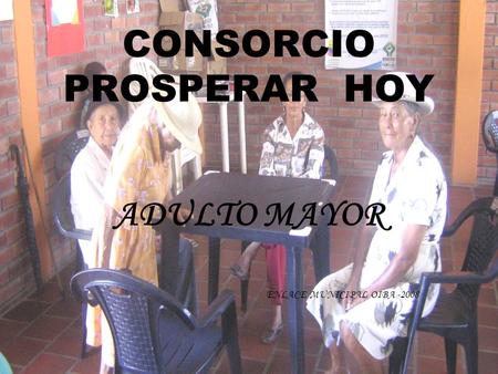 CONSORCIO PROSPERAR HOY ADULTO MAYOR ENLACE MUNICIPAL OIBA -2008.