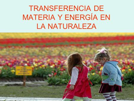 TRANSFERENCIA DE MATERIA Y ENERGÍA EN LA NATURALEZA