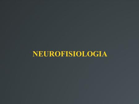 NEUROFISIOLOGIA. NEUROFISIOLOGÍA Estudia las funciones del sistema nervioso y trata de explicar su significado e importancia. Abarca desde la actividad.