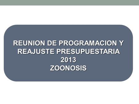 REUNION DE PROGRAMACION Y REAJUSTE PRESUPUESTARIA 2013 ZOONOSIS.
