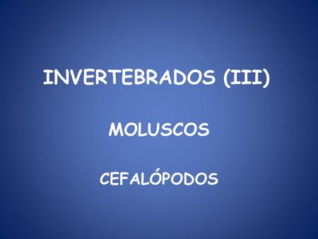 INVERTEBRADOS (III) MOLUSCOS CEFALÓPODOS.