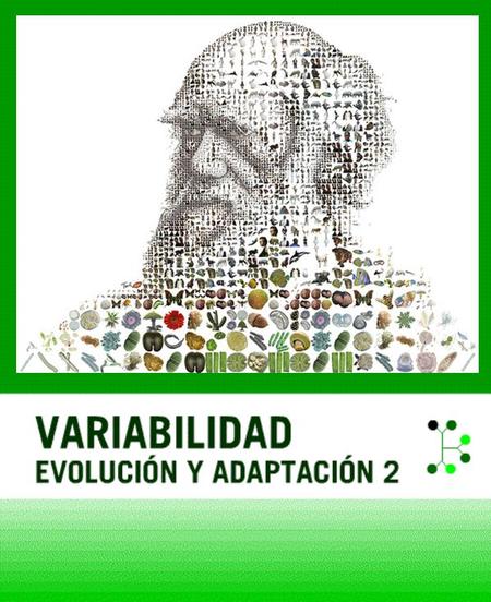 Variación y Evolución Evolución Orgánica Evidencias de Evolución Lamarck Darwin Evolución por Selección Natural Teoría Neodarwiniana Moderna Mecanismos.