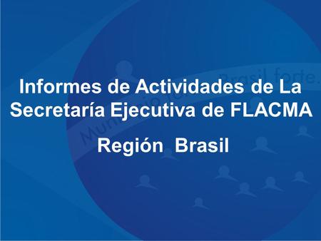 Informes de Actividades de La Secretaría Ejecutiva de FLACMA Región Brasil.