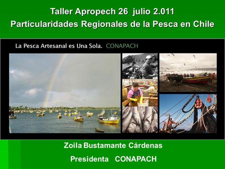 Zoila Bustamante Cárdenas Presidenta CONAPACH Taller Apropech 26 julio 2.011 Particularidades Regionales de la Pesca en Chile.