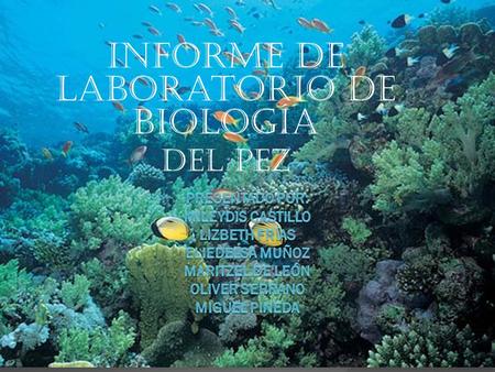 Informe de laboratorio de biología Del pez