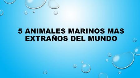 5 ANIMALES MARINOS MAS EXTRAÑOS DEL MUNDO. ESCUELA:FRANCISCO GONZALES BOCANEGRA TEMA:5 ANIMALES MARINOS MAS EXTRAÑOS DEL MUNDO NOMBRE DE LOS INTEGRANTES:LAURA.