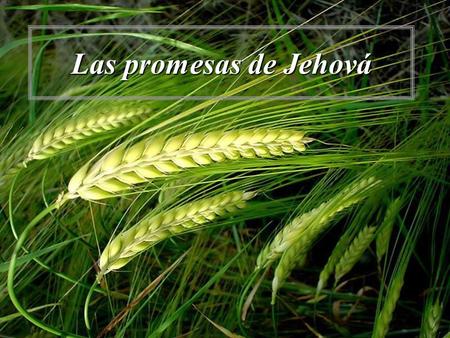 Las promesas de Jehová.