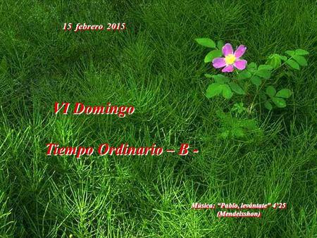 15 febrero 2015 VI Domingo Tiempo Ordinario – B - VI Domingo Tiempo Ordinario – B - Música: “Pablo, levántate” 4’25 (Mendelsshon)