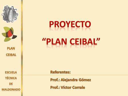 En el marco del proyecto “Plan Ceibal”, se nos encomienda la tarea de brindar asesoramiento y apoyo tanto a docentes como a estudiantes en la implementación.