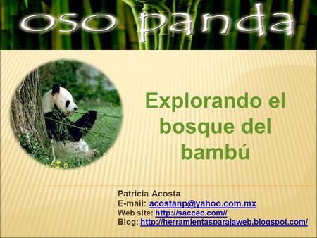 Patricia Acosta   Web site:  Blog: