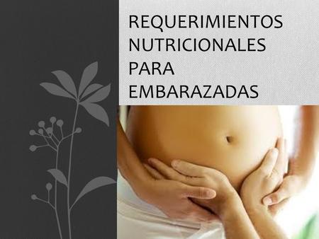 Requerimientos nutricionales para embarazadas