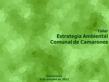 Taller Estrategia Ambiental Comunal de Camarones Camarones 9 de octubre de 2012.