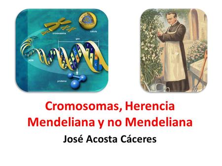 Cromosomas, Herencia Mendeliana y no Mendeliana