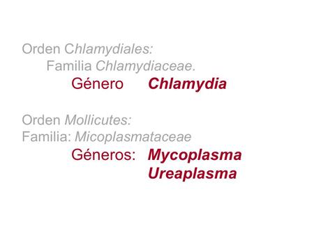 Géneros: Mycoplasma Ureaplasma