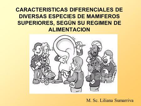 M. Sc. Liliana Sumarriva CARACTERISTICAS DIFERENCIALES DE DIVERSAS ESPECIES DE MAMIFEROS SUPERIORES, SEGÚN SU REGIMEN DE ALIMENTACION.