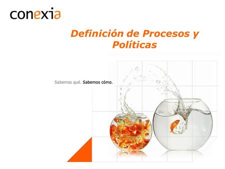 Definición de Procesos y Políticas. 2 Marco de Procesos.