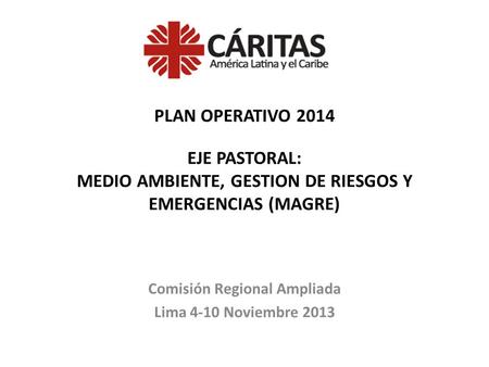 Comisión Regional Ampliada Lima 4-10 Noviembre 2013