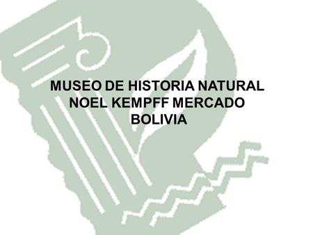 MUSEO DE HISTORIA NATURAL NOEL KEMPFF MERCADO