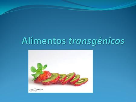 Alimentos transgénicos