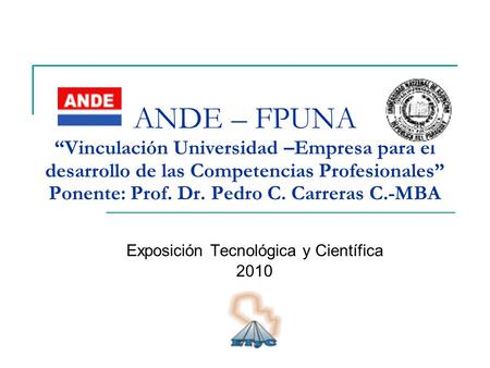 ANDE – FPUNA “Vinculación Universidad –Empresa para el desarrollo de las Competencias Profesionales” Ponente: Prof. Dr. Pedro C. Carreras C.-MBA Exposición.