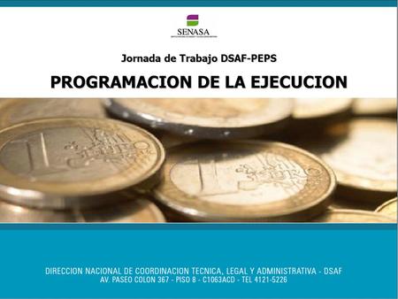 Jornada de Trabajo DSAF-PEPS PROGRAMACION DE LA EJECUCION.