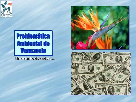 Problemática Ambiental de Venezuela